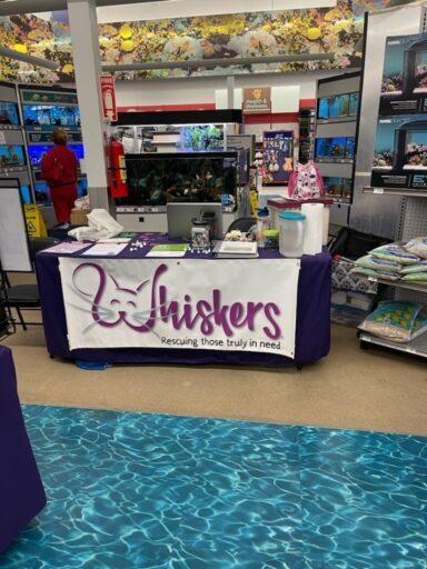 A table draped with a Whiskers tablecloth sits at the opening of a fish section at Petco