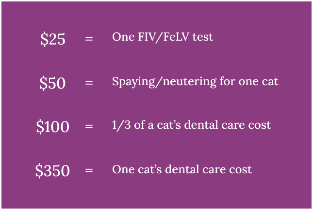 Infographic for uses of donation funds. $25 covers one FIV/FeLV test; $50 covers the spaying and neutering of a cat, $100 pays for 1/3 of a cat's dental care cost, and $350 covers one cat's dental care costs.