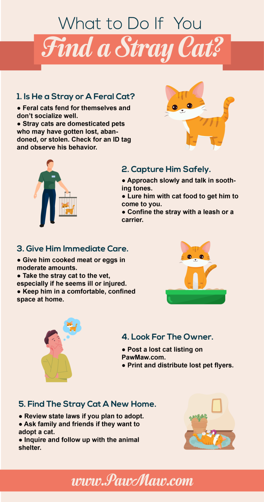 An infographic of what to do if you find a stray cat: Determine if stray or feral, capture safely, give immediate care, seek out a possible owner, and work to find a stray cat a new home.